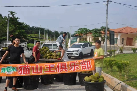 大飞朋友圈照片