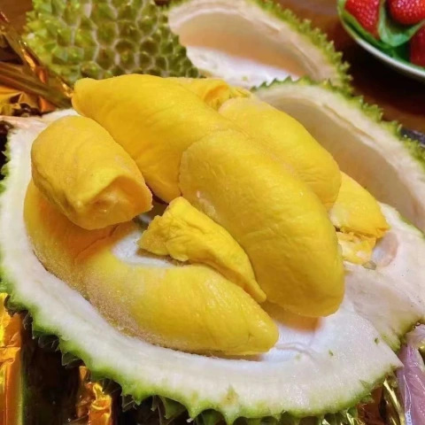 大飞朋友圈照片