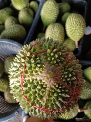 大飞朋友圈照片