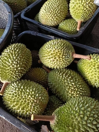 大飞朋友圈照片