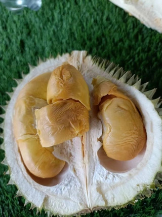 大飞朋友圈照片