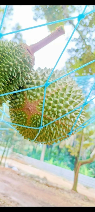 大飞朋友圈照片