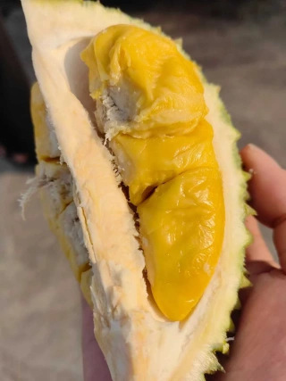 大飞朋友圈照片