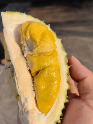 大飞朋友圈照片