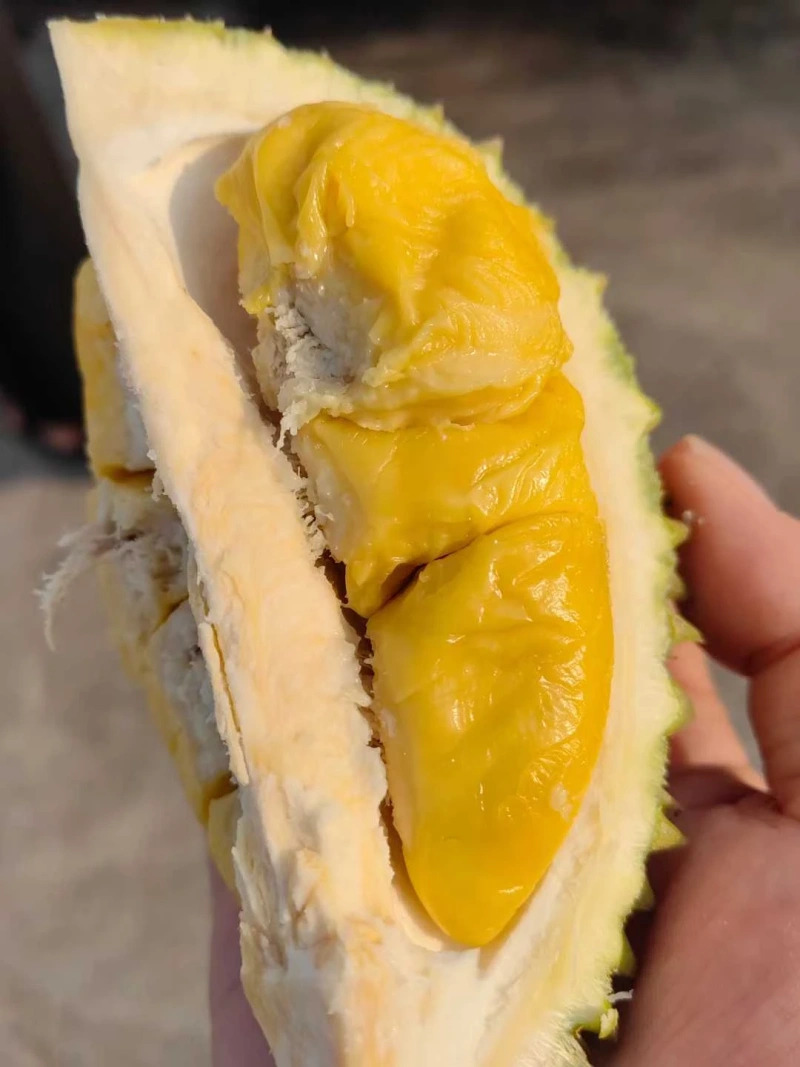 大飞朋友圈照片