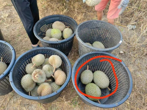 大飞朋友圈照片