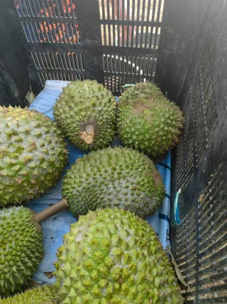 大飞朋友圈照片