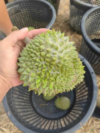 大飞朋友圈照片