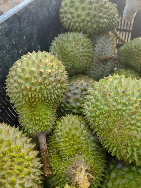 大飞朋友圈照片
