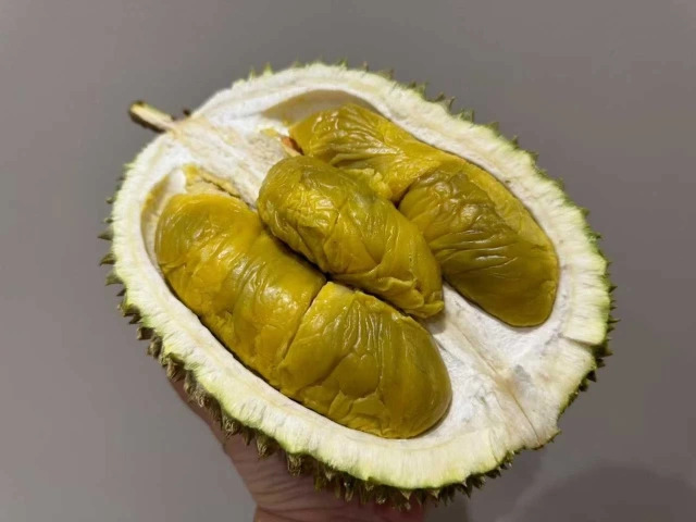 大飞朋友圈照片