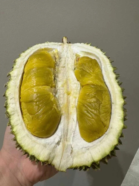 大飞朋友圈照片