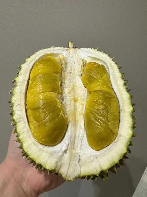 大飞朋友圈照片