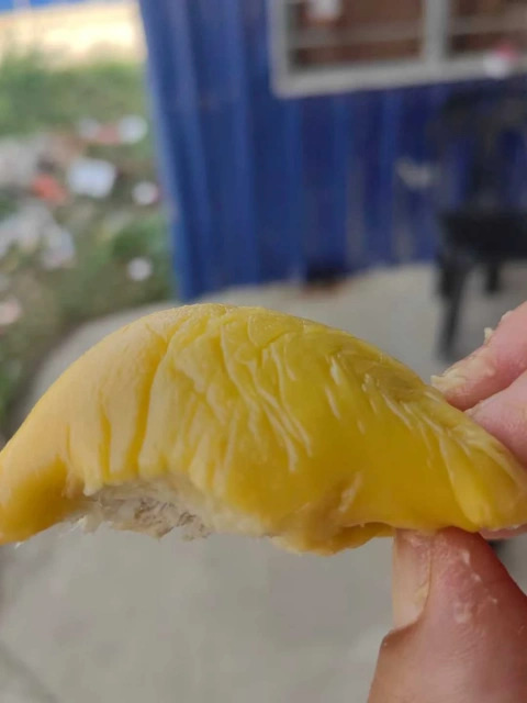 大飞朋友圈照片