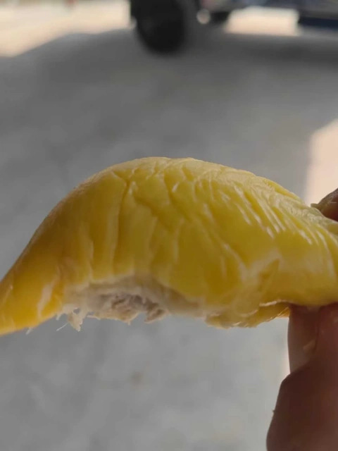 大飞朋友圈照片
