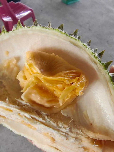 大飞朋友圈照片