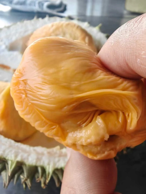大飞朋友圈照片