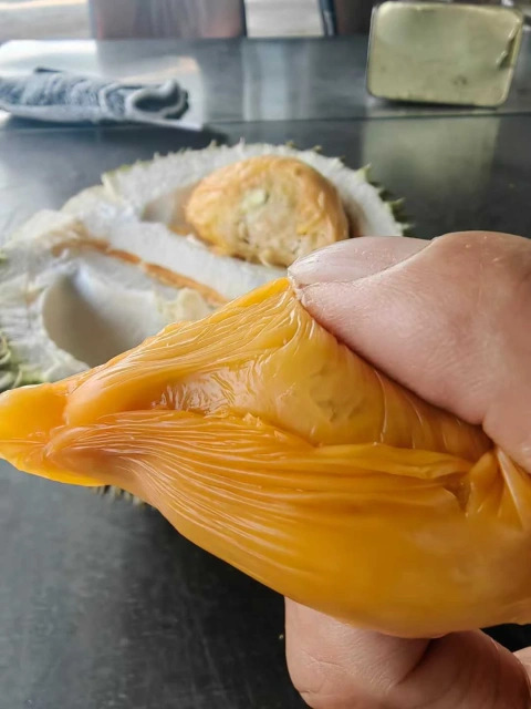 大飞朋友圈照片