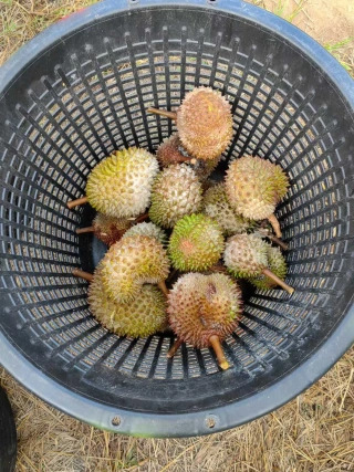 大飞朋友圈照片