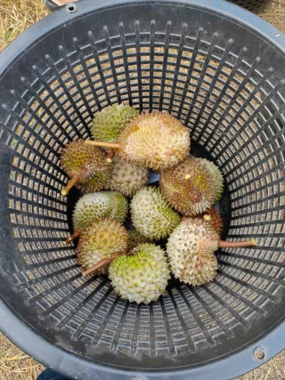 大飞朋友圈照片
