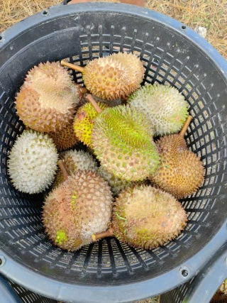 大飞朋友圈照片