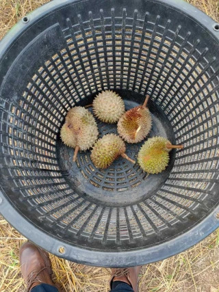 大飞朋友圈照片