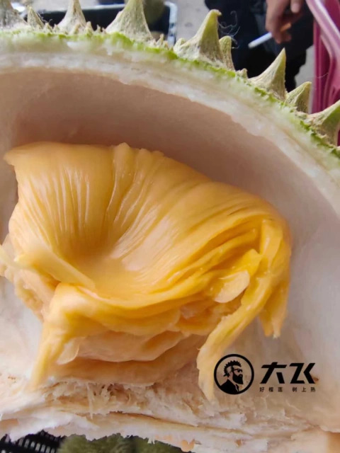 大飞朋友圈照片
