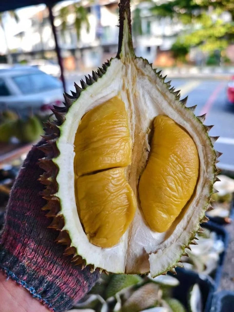 大飞朋友圈照片