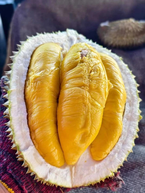 大飞朋友圈照片