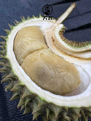 大飞朋友圈照片
