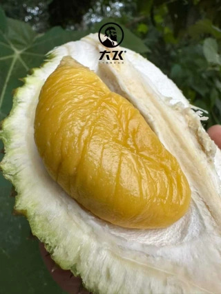大飞朋友圈照片