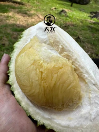 大飞朋友圈照片