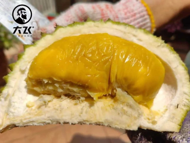 大飞朋友圈照片
