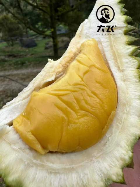 大飞朋友圈照片