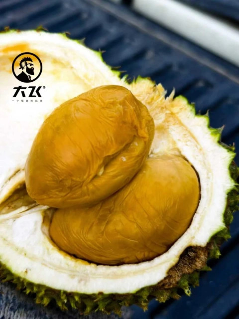 大飞朋友圈照片