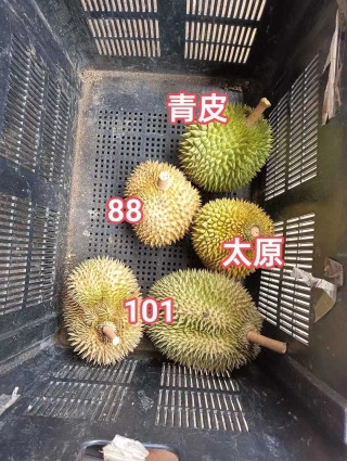 大飞朋友圈照片