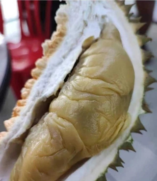 大飞朋友圈照片