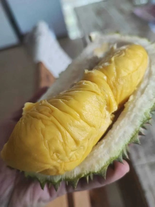 大飞朋友圈照片