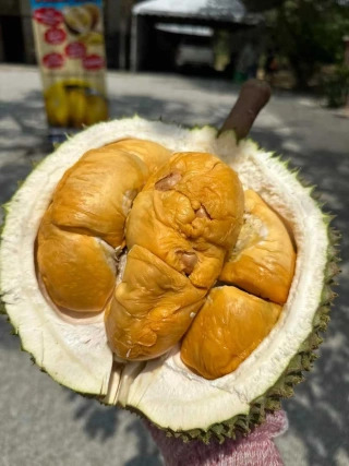 大飞朋友圈照片