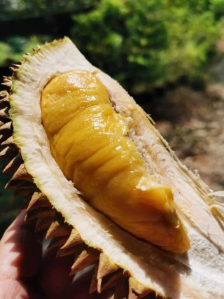 大飞朋友圈照片