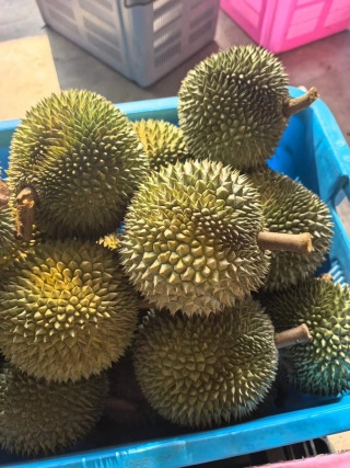 大飞朋友圈照片