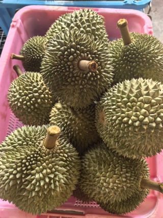 大飞朋友圈照片