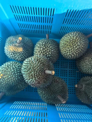 大飞朋友圈照片