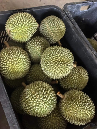大飞朋友圈照片
