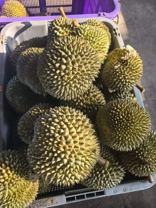 大飞朋友圈照片