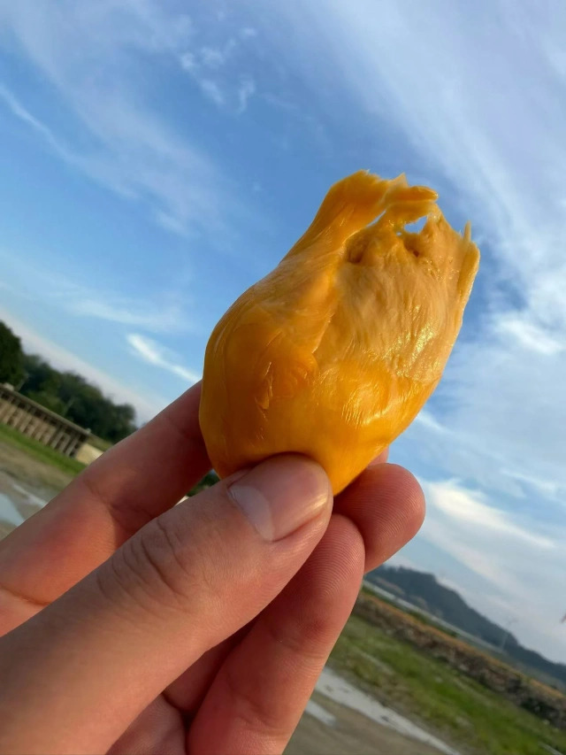 大飞朋友圈照片