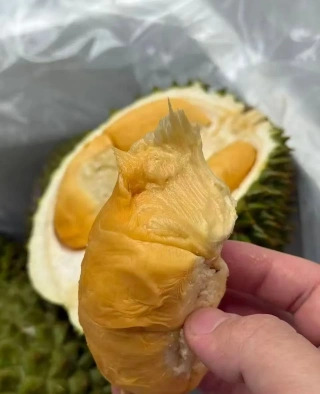大飞朋友圈照片