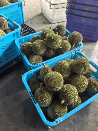 大飞朋友圈照片