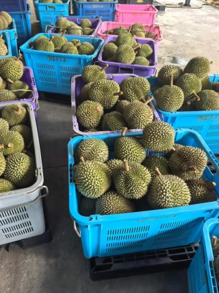 大飞朋友圈照片