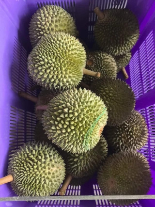 大飞朋友圈照片
