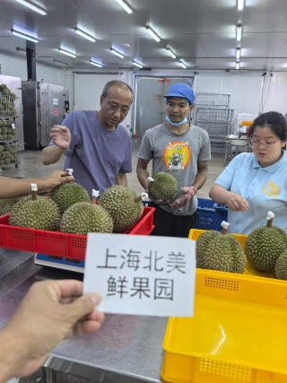 大飞朋友圈照片